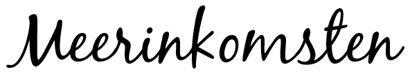 MeerinkomstenTest